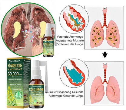 𝗢𝗳𝗳𝗶𝘇𝗶𝗲𝗹𝗹𝗲𝘀 𝗚𝗲𝘀𝗰𝗵ä𝗳𝘁: CareRegen®🪸 𝗕𝗶𝗼𝗹𝗼𝗴𝗶𝘀𝗰𝗵𝗲𝘀 𝗟𝘂𝗻𝗴𝗲𝗻𝗿𝗲𝗶𝗻𝗶𝗴𝘂𝗻𝗴𝘀-𝗜𝗻𝗵𝗮𝗹𝗮𝘁 𝗮𝘂𝘀 𝗞𝗼𝗻𝗶𝗴𝘀𝗸𝗲𝗿𝘇𝗲𝗻𝗯𝗹𝗮𝘁𝘁-𝗘𝘅𝘁𝗿𝗮𝗸𝘁 𝐖𝐢𝐬𝐬𝐞𝐧𝐬𝐜𝐡𝐚𝐟𝐭𝐥𝐢𝐜𝗵 𝐛𝐞𝐰𝐢𝐞𝐬𝐞𝐧𝗲, 𝐡𝗼𝗰𝐡𝐤𝗼𝗻𝐳𝐞𝐧𝐭𝐫𝐢𝐞𝐫𝐭𝐞 𝐅𝐨𝐫𝐦𝐞𝐥, 𝐝𝐢𝐞 𝐇𝐮𝐬𝐭𝐞𝐧, 𝐒𝐜𝐡𝐥𝐞𝐢𝐦, 𝐀𝐬𝐭𝐡𝐦𝐚 𝐮𝐧𝐝 𝐂𝐎𝐏𝐃 𝐥𝗶𝗻𝗱𝐞𝐫𝐭 — 𝐟𝗼𝐫𝐦𝐭 𝐝𝐚𝐬 𝐀𝐭𝐞𝐦𝐞𝐧 𝐞𝐢𝐧𝐟𝐚𝐜𝐡𝐞𝐫 𝐮𝐧𝐝 𝐬𝐜𝐡𝐧𝐞𝐥𝐥𝐞𝐫. 🩵