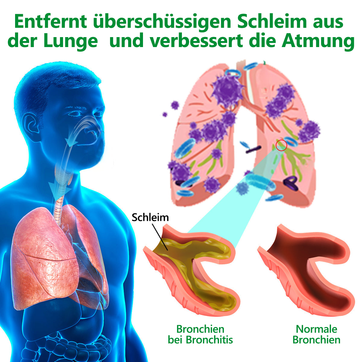 𝗢𝗳𝗳𝗶𝘇𝗶𝗲𝗹𝗹 | CareRegen® 𝗕𝗶𝗼-𝗟𝘂𝗻𝗴𝗲𝗻𝗿𝗲𝗶𝗻𝗶𝗴𝘂𝗻𝗴𝘀-𝗧𝗿𝗼𝗽𝗳𝗲𝗻 𝗮𝘂𝘀 𝗞𝗼̈𝗻𝗶𝗴𝘀𝗸𝗲𝗿𝘇𝗲𝗻𝗯𝗹𝗮𝘁𝘁-𝗘𝘅𝘁𝗿𝗮𝗸𝘁 𝐊𝐥𝐢𝐧𝐢𝐬𝐜𝐡 𝐛𝐞𝐬𝐭𝐚̈𝐭𝐢𝐠𝐭 – 𝐡𝐨𝐜𝐡𝐤𝐨𝐧𝐳𝐞𝐧𝐭𝐫𝐢𝐞𝐫𝐭𝐞 𝐅𝐨𝐫𝐦𝐞𝐥 𝐳𝐮𝐫 𝐋𝐢𝐧𝐝𝐞𝐫𝐮𝐧𝐠 𝐯𝐨𝐧 𝐇𝐮𝐬𝐭𝐞𝐧, 𝐒𝐜𝐡𝐥𝐞𝐢𝐦, 𝐀𝐬𝐭𝐡𝐦𝐚 𝐮𝐧𝐝 𝐂𝐎𝐏𝐃. 𝐅𝐮̈𝐫 𝐟𝐫𝐞𝐢𝐞𝐫𝐞𝐬, 𝐥𝐞𝐢𝐜𝐡𝐭𝐞𝐫𝐞𝐬 𝐀𝐭𝐦𝐞𝐧 – 𝐬𝐩𝐮̈𝐫𝐛𝐚𝐫 𝐬𝐜𝐡𝐧𝐞𝐥𝐥𝐞𝐫𝐞 𝐖𝐢𝐫𝐤𝐮𝐧𝐠.🫁⚡